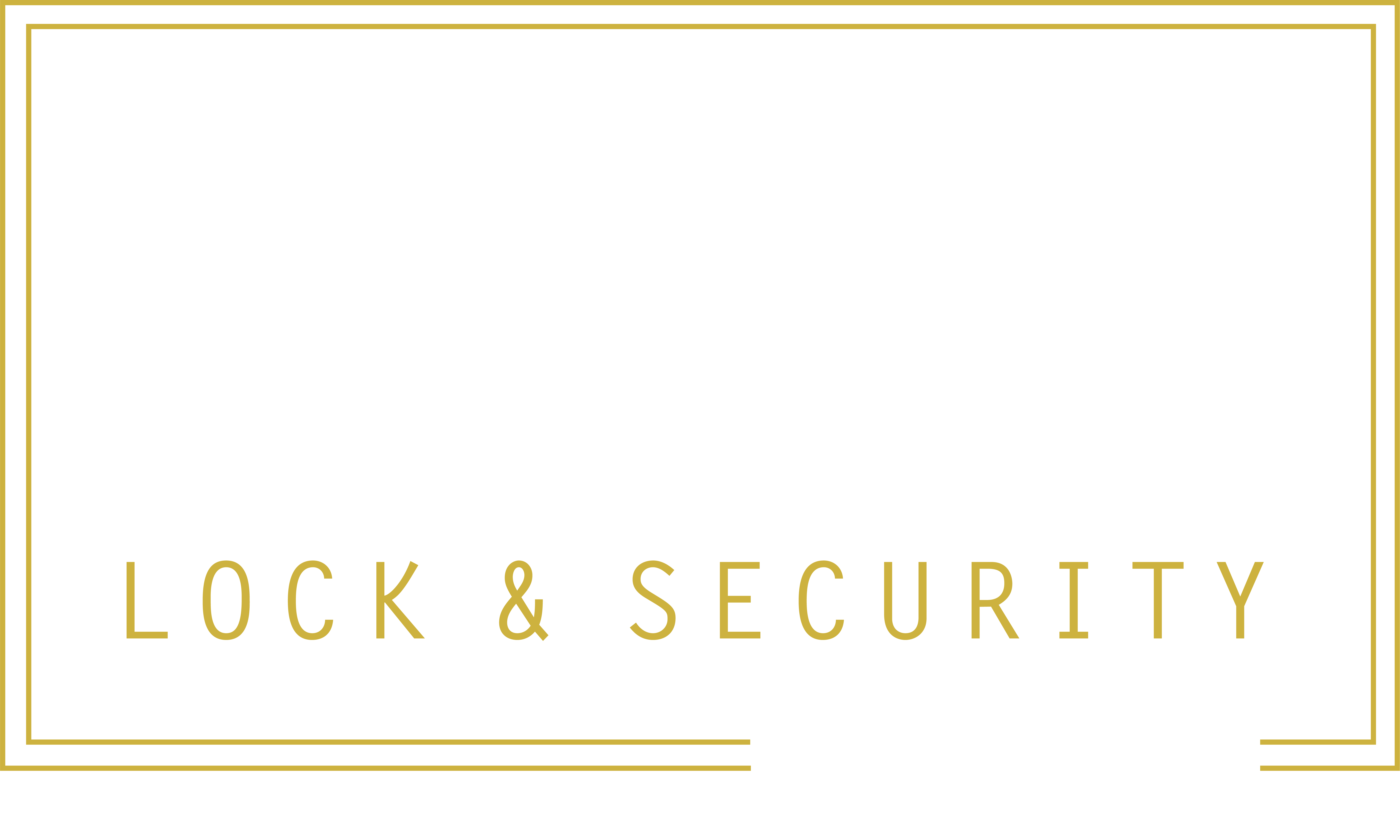 levis's lock and security